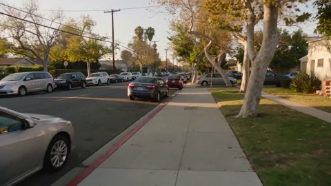 Documentary Style Car Crash