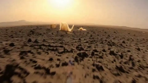 Diving into Desert Heat Mirage