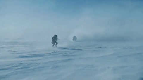Polar Bear Attack to VR Home Reveal