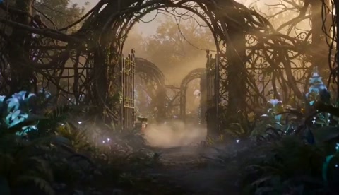 Robot Discovery in Bio-Luminescent Garden