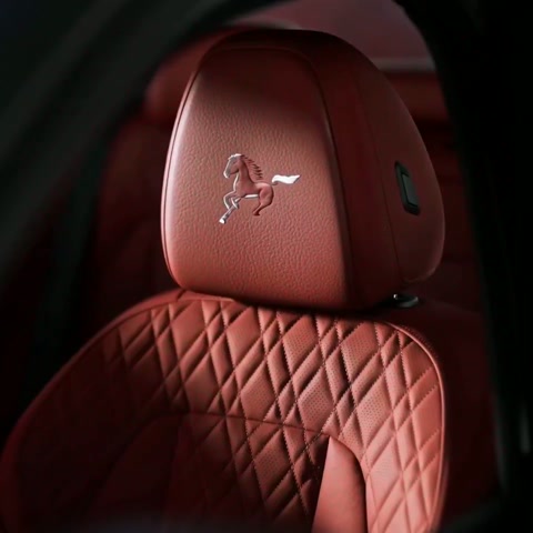 BMW Horse Year Limited Edition Ad