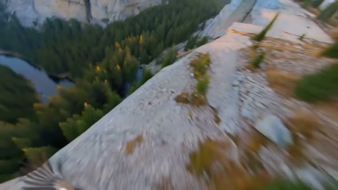 Eagle POV Glide to Dive