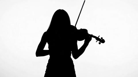 Electric Violinist Silhouette