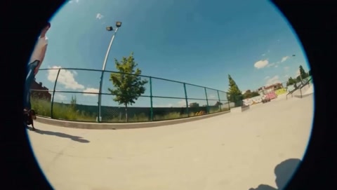 Skatepark Dachshund Skateboard Rider