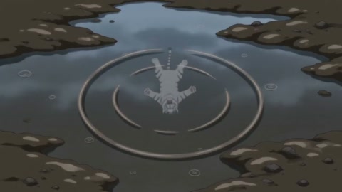 Tiger Drop Anime MV