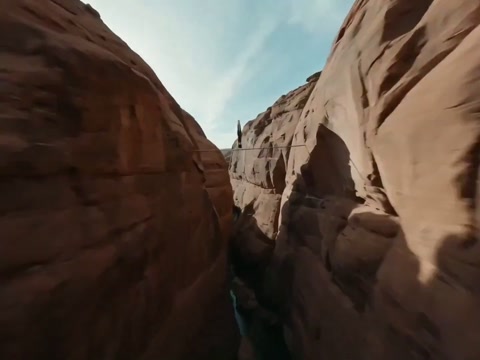 Morning Workout on Bamboo Cliff