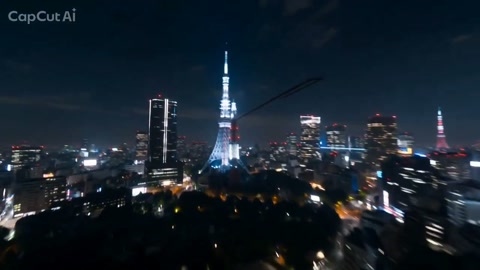 Tokyo Night Rollercoaster POV