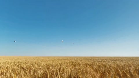 Surrealism Megalophobia Epic Visual Spectacle