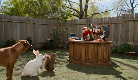 Saturday Garden Party Parrot Bartender