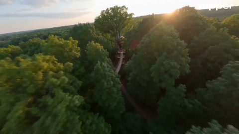 FPV Treehouse Exploration