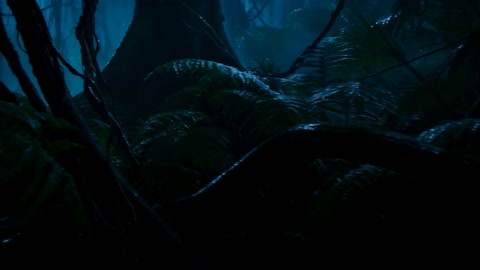 Rainforest Thriller Continuous Shot