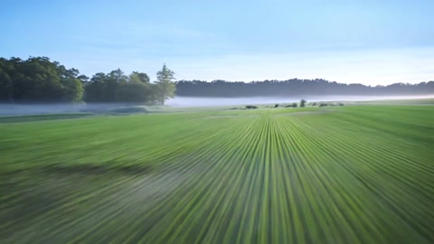 Realistic Cinematic Japanese Countryside Dawn Bullet Train