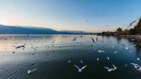 Kunming City Tourism Promo