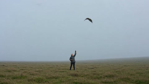 Falcon Moorland Documentary