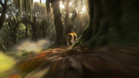 Low-angle shot rushing through an ancient forest