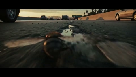 Fly POV Sunset Chase