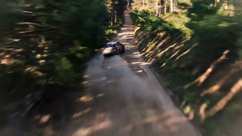 Rally Car Forest Stage Multi-Shots