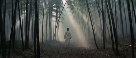 Wuxia Bamboo Forest Martial Arts