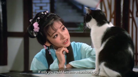 Hong Kong Wuxia Cat Transformation