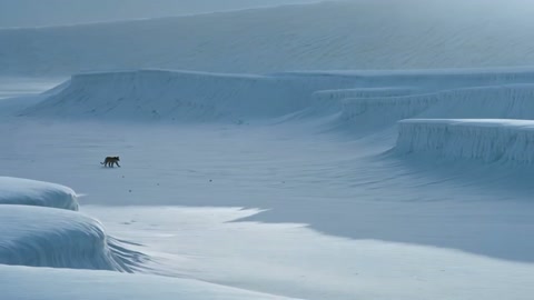 Kling Multi Shots Scene Aerial Wide Shot Endless Icy