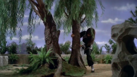 Pupu Uprooting Willow Tree