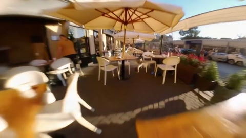 Sparrow POV FPV Flight