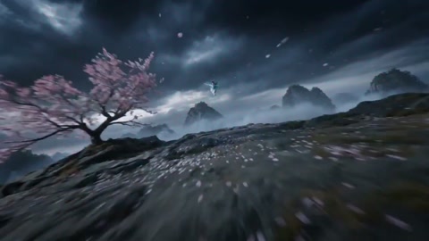 Peach Blossom Sword Performance