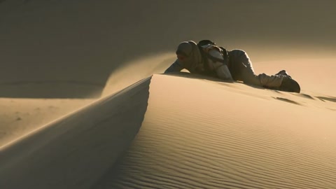 Scavenger Dune Ridge City