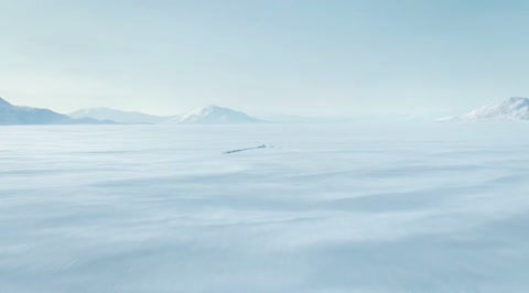 Frozen Lake Polar Bear Emergence