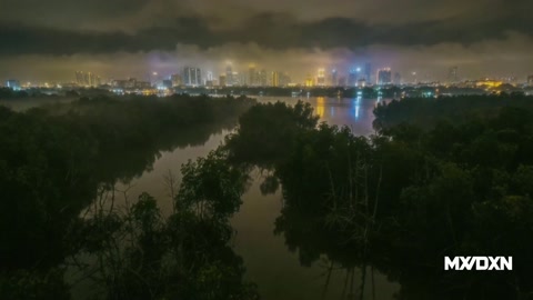 Swamp Mystery