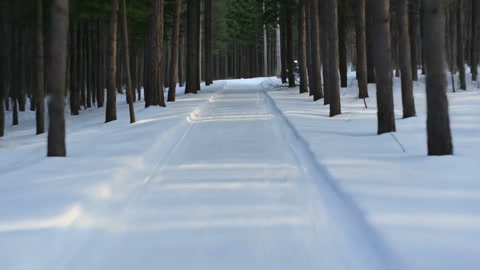 Snowmobile Action Extreme