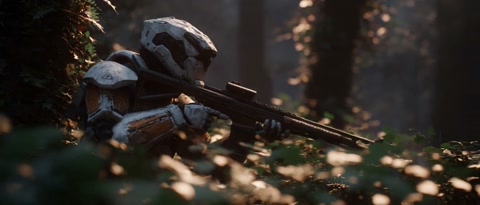 Hunter Ambush Forest