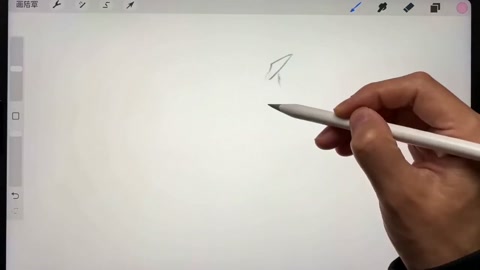 Digital Bird Sketch in Sakura