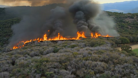 Wildfire Elk Escape